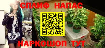 спиды Гатчина