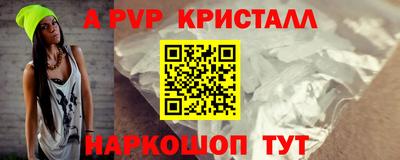 спиды Гатчина