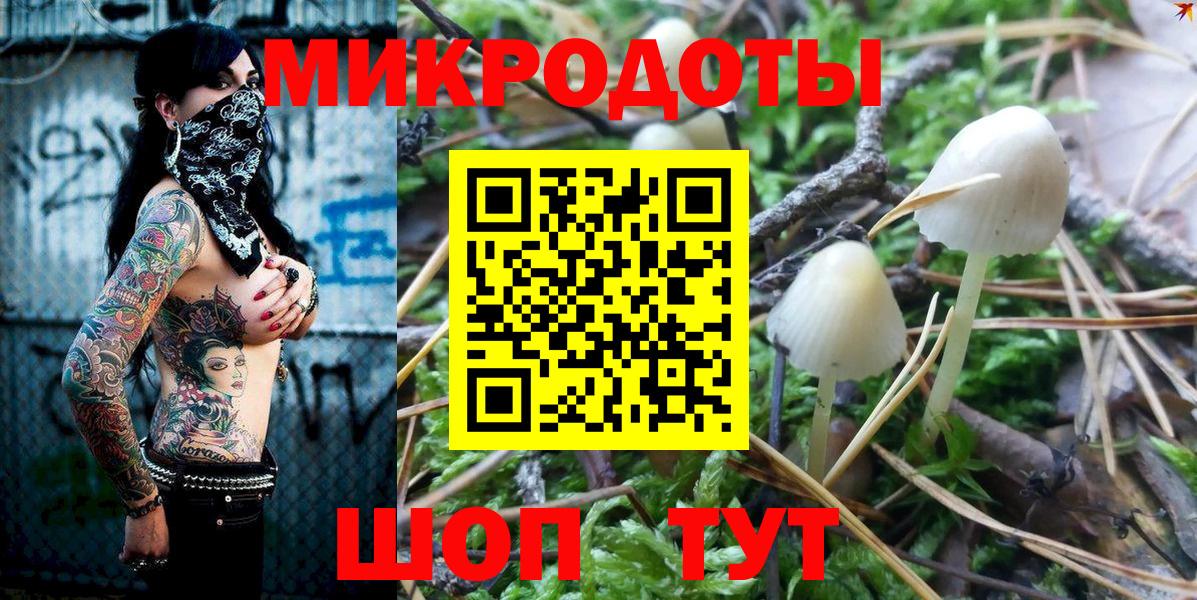 Псилоцибиновые грибы мицелий Дагестанские Огни