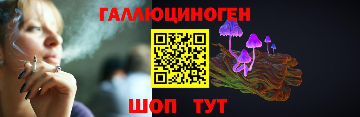 Галлюциногенные грибы Cubensis  Вход с VPN  Дагестанские Огни 